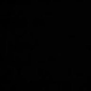 Meet your Posher, Ajcasique